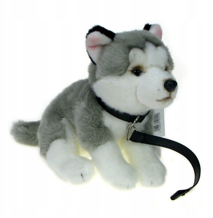 Zoo: maskotka Pies husky na smyczy 23cm (90120)
