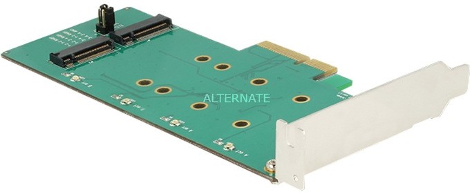 DeLOCK 89536 adapter M.2 Wewnętrzny, Kontroler Serial ATA