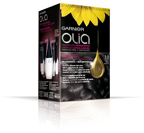 Garnier Permanent Color 1.0 czarne drewno hebanowe 3600541234321