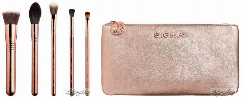 Sigma ICONIC BRUSH SET - 5 ROSE GOLD BRUSHES + BEAUTY BAG - Zestaw 5 pędzli do makijażu + kosmetyczka