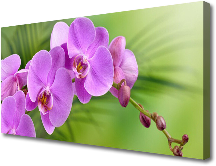 PL Tulup Obraz Canvas Storczyk Orchidea Kwiaty 140x70cm