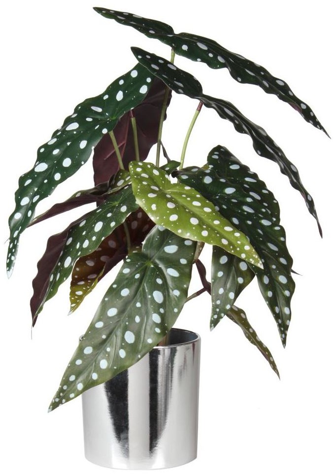 SPLENDID Begonida sztuczna w doniczce  39 cm SPLENDID