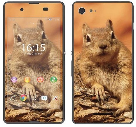 Sony Royal Sticker Royal tatuaż ścienny RS. 98918 samoprzylepny do Xperia E3 z motywem wiewiórki na gałęzi RS.98918