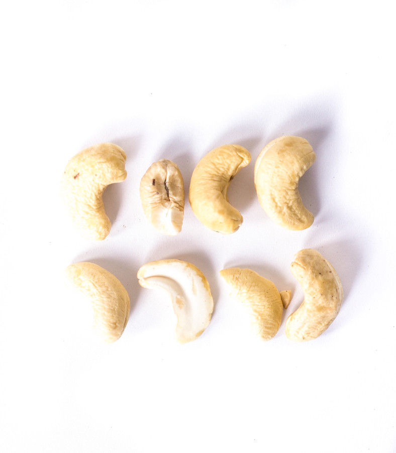 Planteon Orzechy nerkowca 10kg