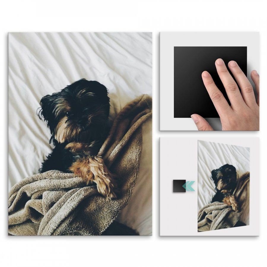 Pix4home Plakat metalowy pies domowy M POS-M-01730