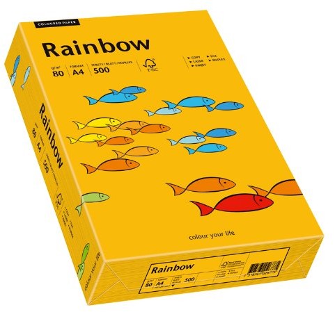 Papyrus 88042409 papier wielofunkcyjny Rainbow 80 G/M, A4 500 arkuszy mittelorange 7318761037108