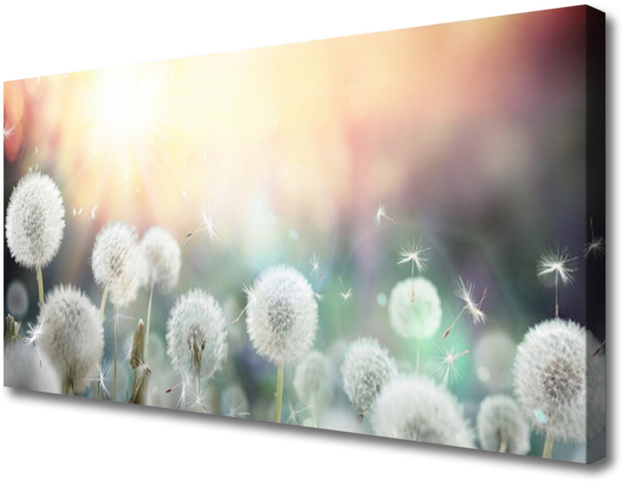PL Tulup Obraz Canvas Dmuchawce Kwiaty Natura 140x70cm