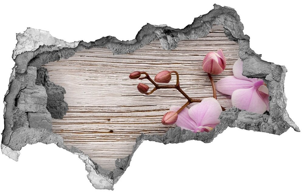 Wallmuralia.pl Samoprzylepna dziura na ścianę Orchidea na drewnie