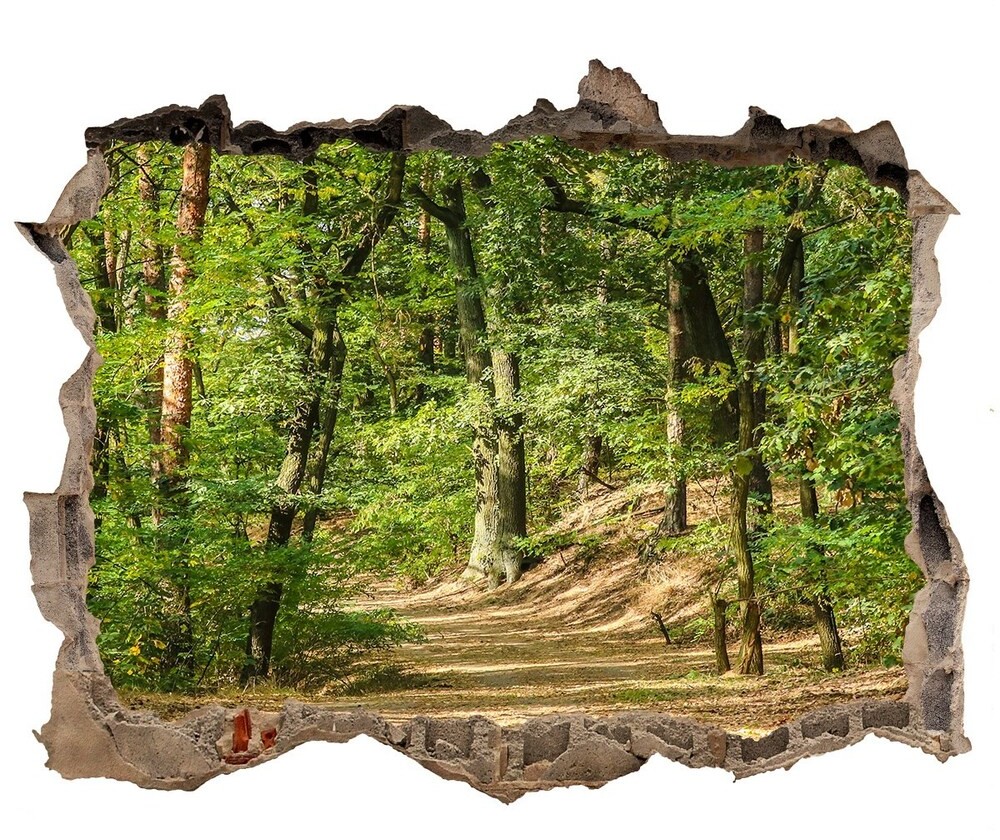 Wallmuralia.pl Dziura 3d w ścianie naklejka Leśna ścieżka