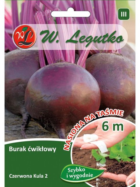 Legutko Burak ćwikłowy CZERWONA KULA 2