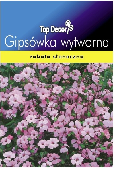 Top Decor Nasiona gipsówka wytworna