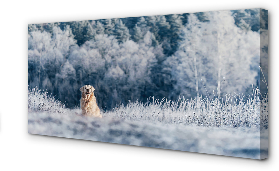 PL Tulup Obrazy na płótnie Pies góry zima 140x70cm