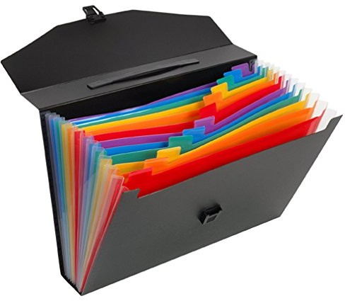 Viquel Folder teczka na, PP, 12-rzędowa, A4, 12 przegródek, Rainbow Class 117287-03