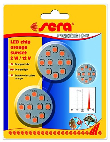 Sera surowice 31186 LED Chip Orange Sunset 2 W czystym pomarańczowej światła jako akcent i światło nocne obserwacji 80656