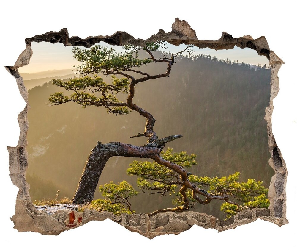 Wallmuralia.pl naklejka fototapeta 3D widok Sokolica Pieniny