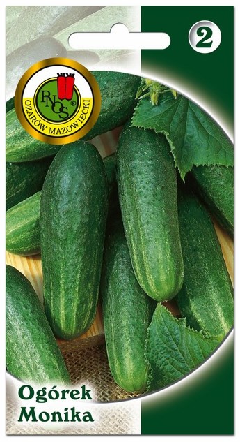 Nasiona ogórek gruntowy Monika grupa II
