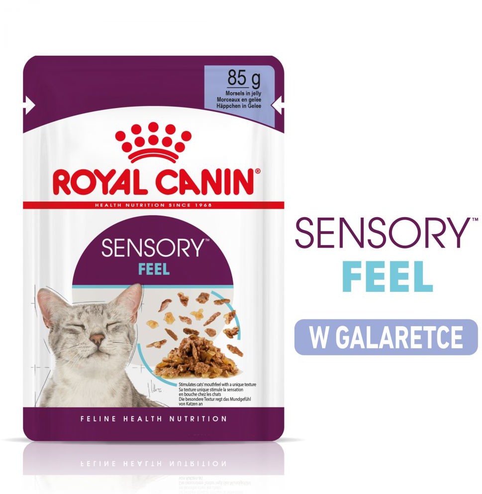 Royal Canin Sensory Feel w galarecie - 24 x 85 g
