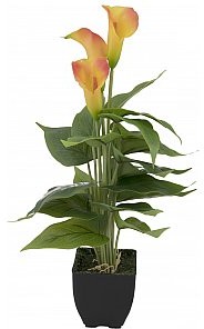 Europalms EUROPALMS Mini Calla, sztuczna roślina, żółto-pomarańczowy, 43 cm 82540346