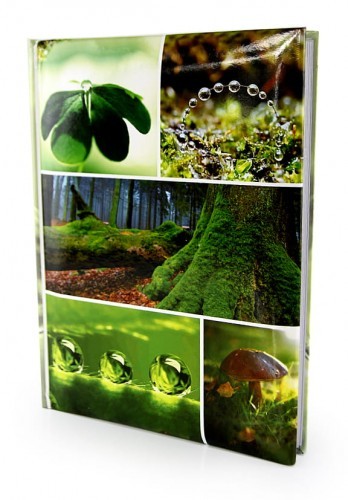 Poldom Album 10x15 200 zdjęć szyty ESTA AL46200ESTA