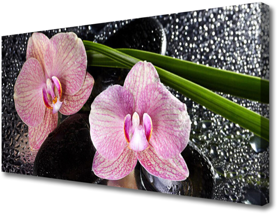 PL Tulup Obraz Canvas Kwiaty Orchidea Storczyk Zen 120x60cm