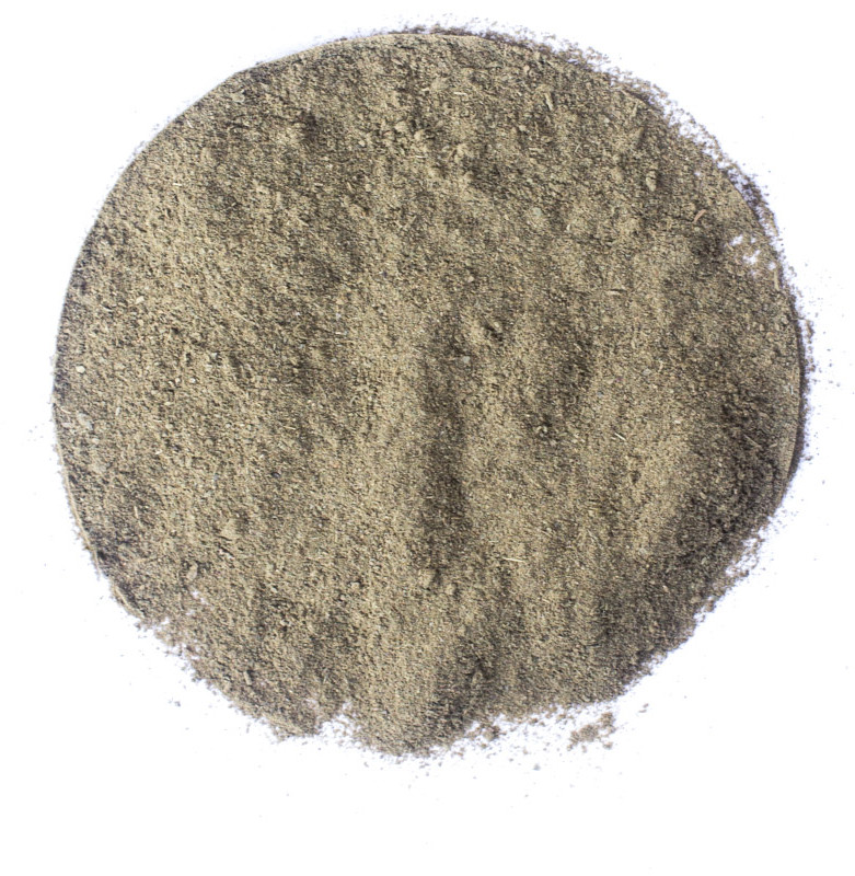 Planteon Czosnek niedźwiedzi mielony 5kg 2-0010-02-6