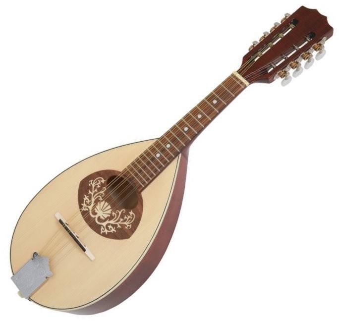 VGS 505395 Flat Mandolin Model 1