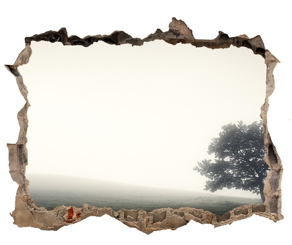 Wallmuralia.pl Dziura 3d w ścianie naklejka Samotne drzewo