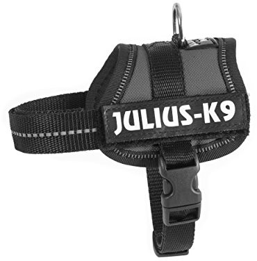 JULIUS K-9 Julius K9, 162 ANT, K9 power zastawy stołowej, antracyt, antracytowy