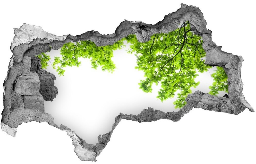 Wallmuralia.pl Samoprzylepna dziura naklejka Liście dębu