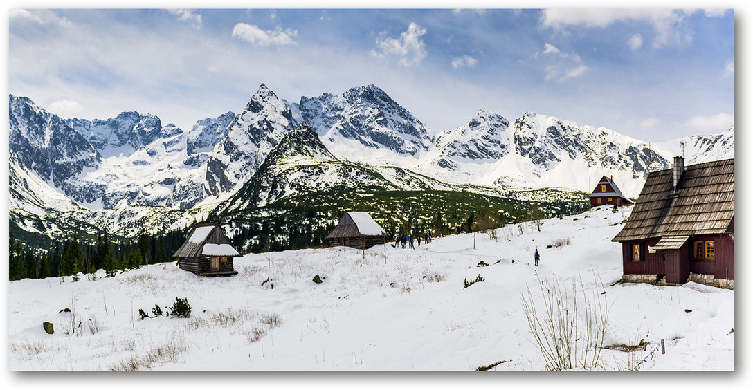 Foto obraz na ścianę akryl Hale Tatry