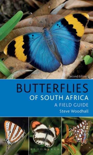 Steve Woodhall Field Guide to Butterflies of South Africa