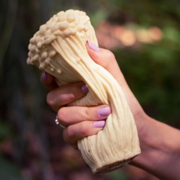 Gift World Gift World, Antystresowy grzyb Enoki