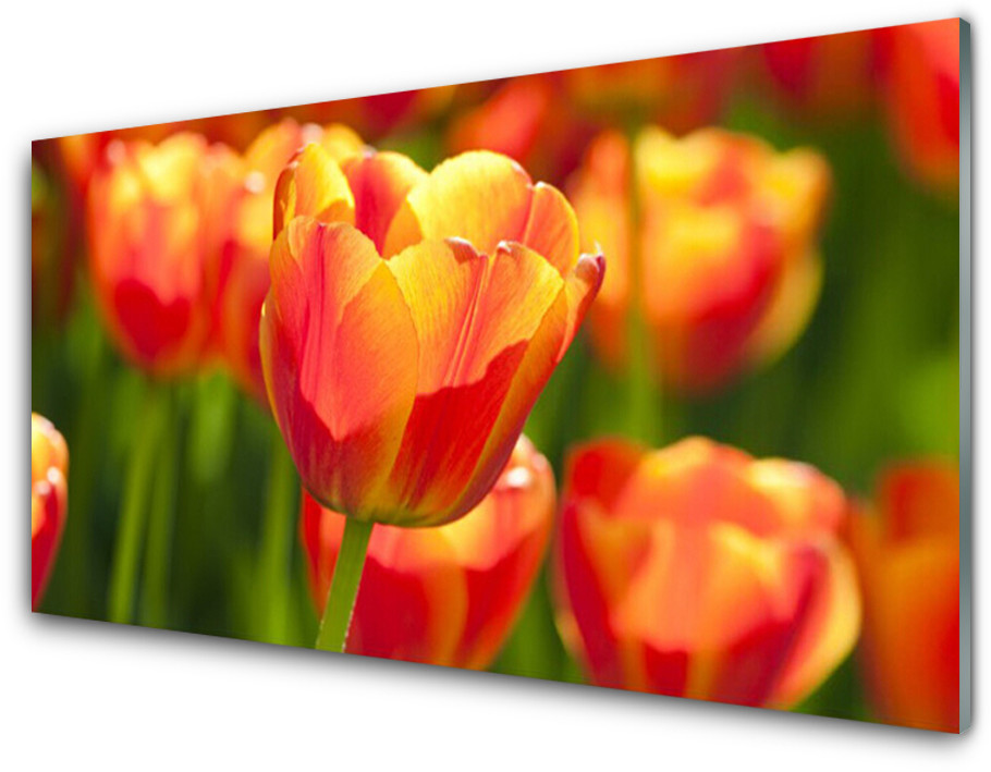 Tulup.pl Panel Szklany Tulipany Kwiaty Roślina 100x50cm