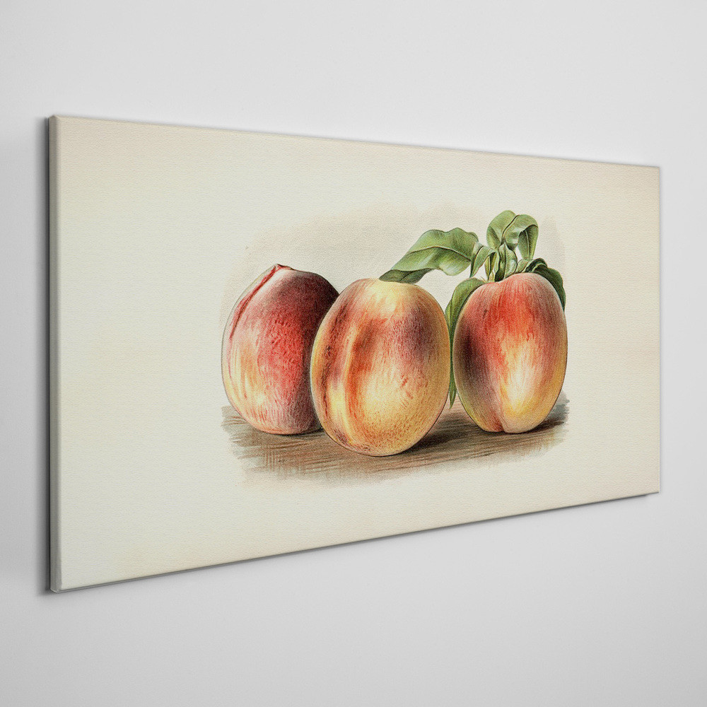 PL Coloray Obraz Canvas owoce brzoskwinia liście 100x50cm