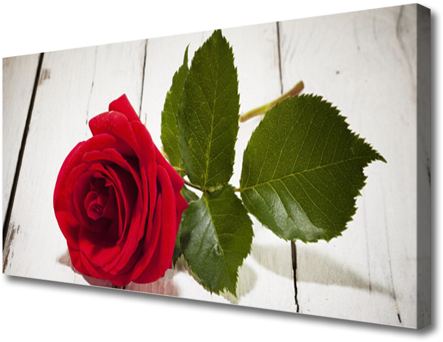 PL Tulup Obraz Canvas Róża Kwiat Roślina Natura 140x70cm