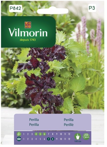 Vilmorin Nasiona perilla