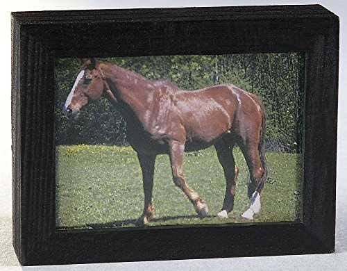 Kahlert Licht kahlert Licht 49645  miniaturowe wyposażenie akcesoria  TV z płaskim ekranem z przełącznikiem, lampa LED