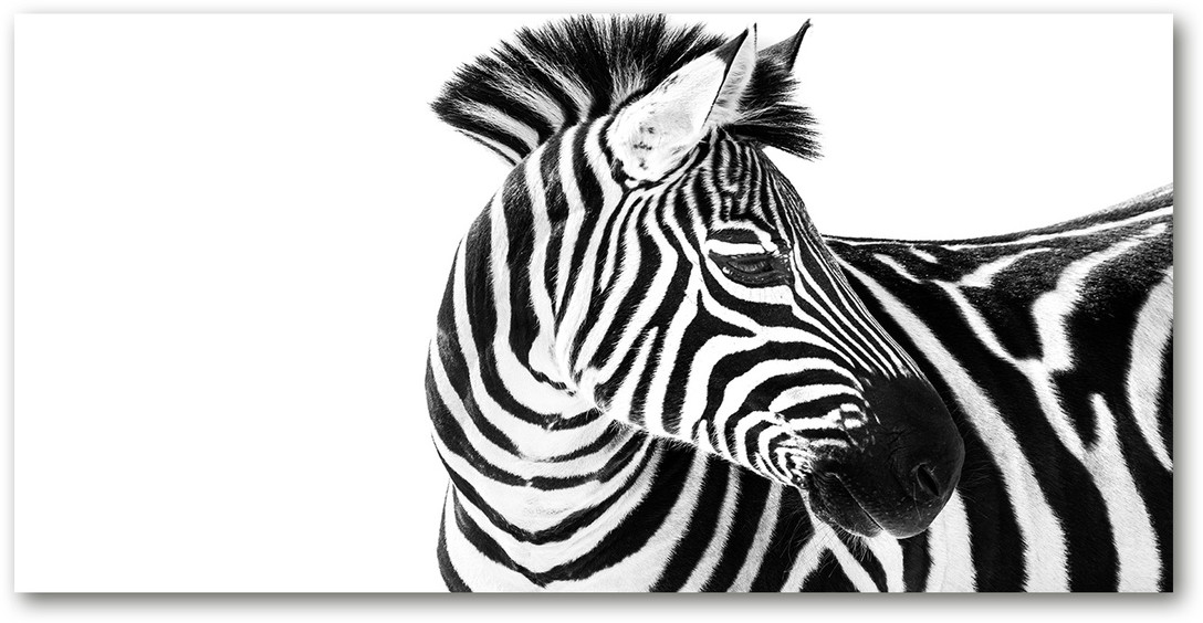 Foto obraz szkło akryl Zebra w śniegu
