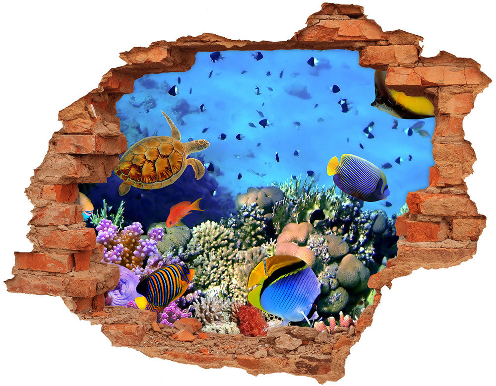 Wallmuralia.pl Dziura 3d fototapeta naklejka Rafa koralowa