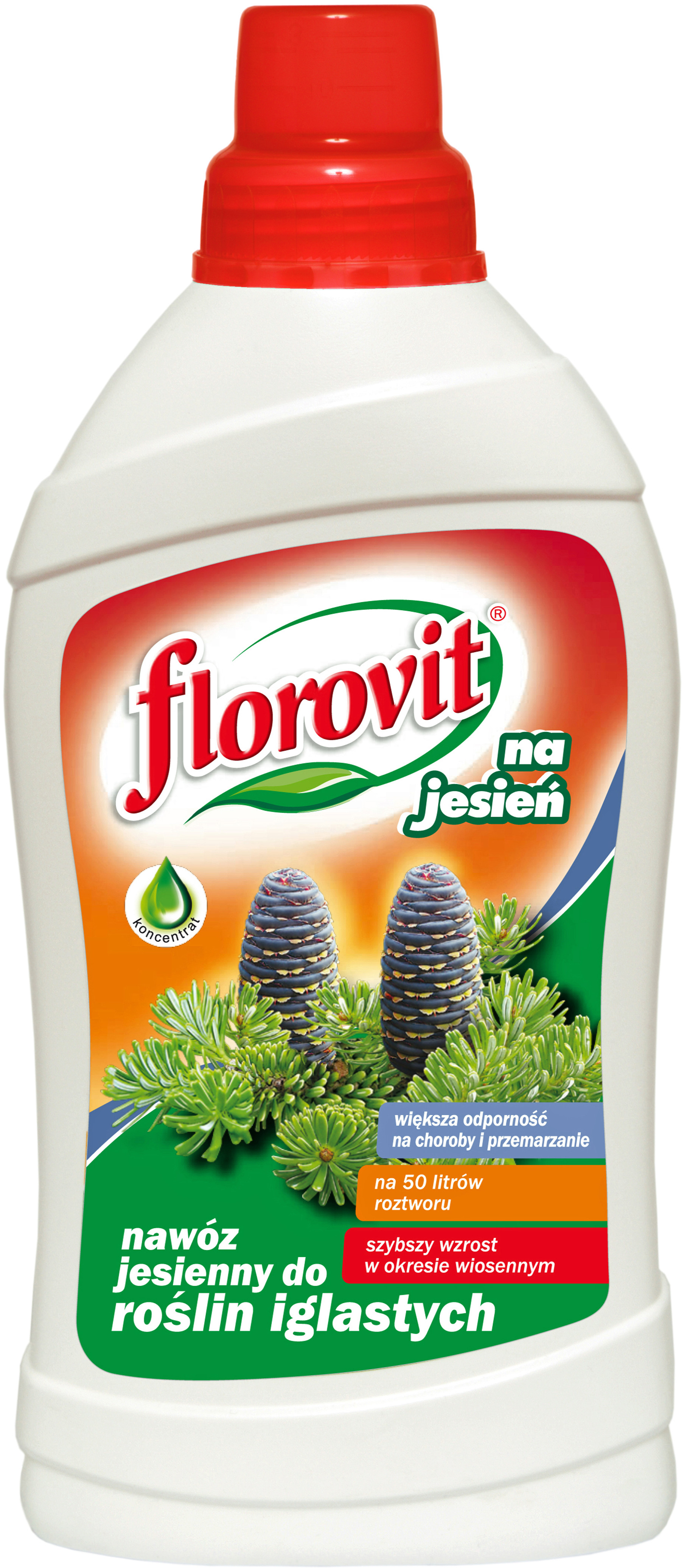 Florovit Nawóz jesienny płynny do roślin iglastych butelka 1 kg