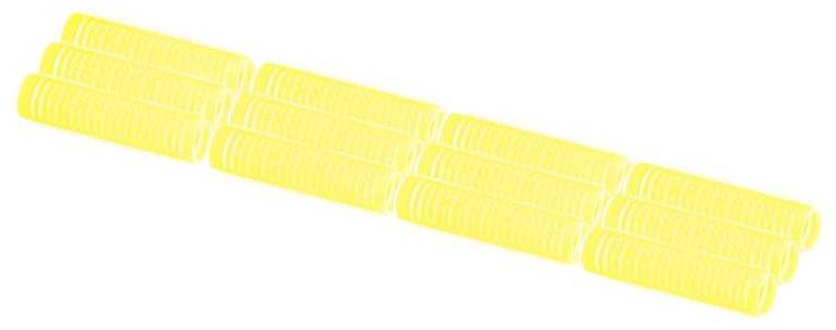 ACTIVESHOP WAŁKI DO WŁOSÓW RZEPY 1,5 CM 12SZT.