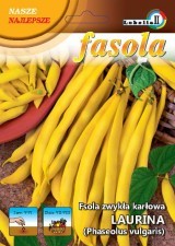 Lobelia Fasola szparagowa karłowa LAURINA 40g Nas000364