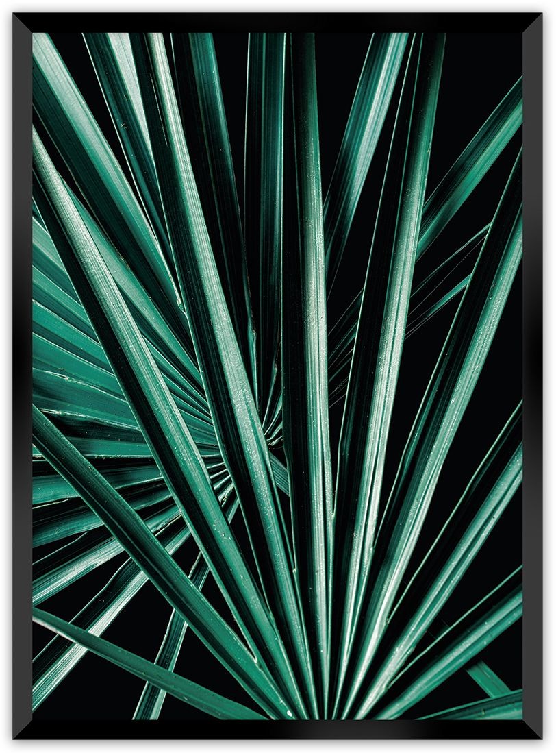 Dekoria Dekoria Plakat Dark Palm Tree 70 x 100 cm Ramka Czarna 223E-000-18