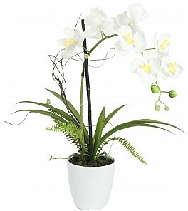 Europalms EUROPALMS Układ storczyków 1, sztuczny 82530346