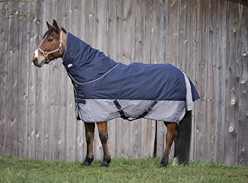 Equi-Thme equi-thme 