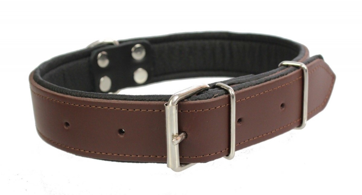 dr Seidla ZOO LESZCZ (PL) Soldina Dla Psa Skóra Naturalna 40 mm / 65 cm ZL0904 ZOO LESZCZ (PL)