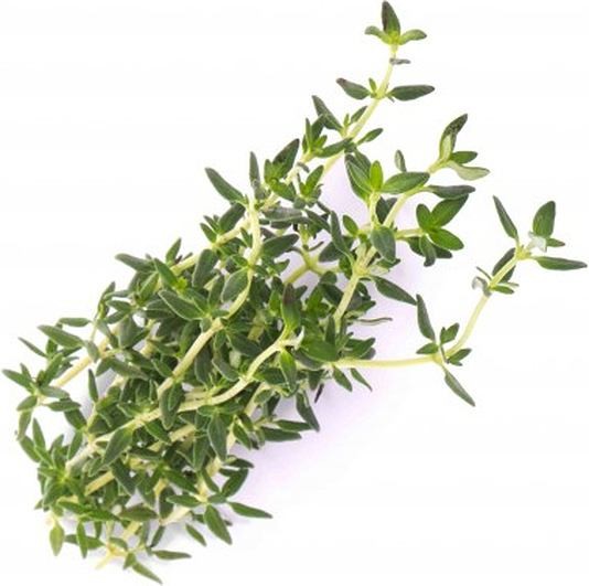 Veritable Veritable wkład nasienny Lingot - tymianek VE-0068261