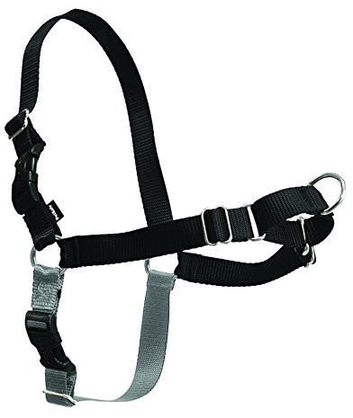 PetSafe Naczynia do Easy Walk -, średni, czarny/srebrny EWH-HC-M-BLK