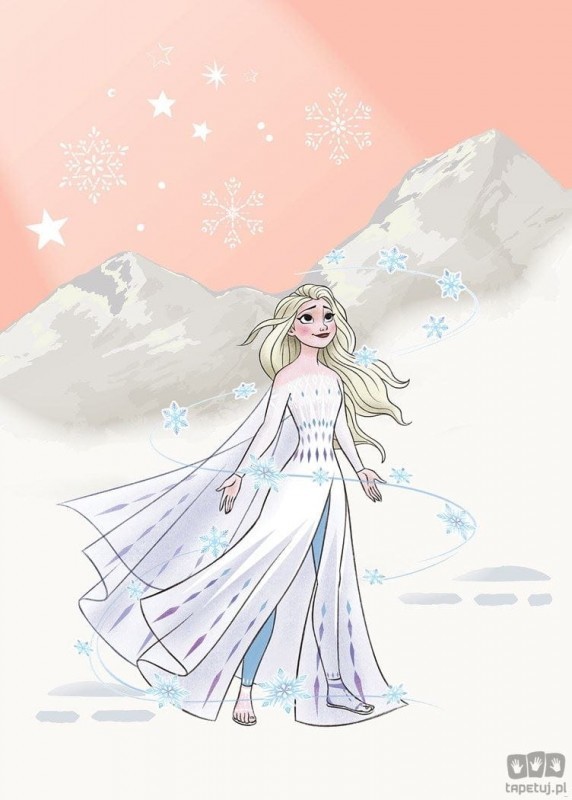 Komar Fototapeta Frozen Winter Magic IADX4-041 IADX4-041_opcje