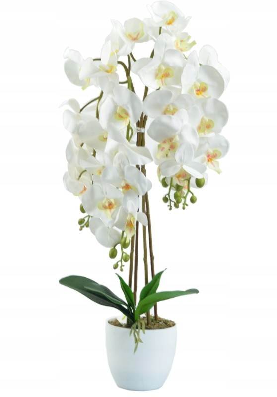 Sztuczny Storczyk orchidea Kwiat ,gęsty biały 70cm